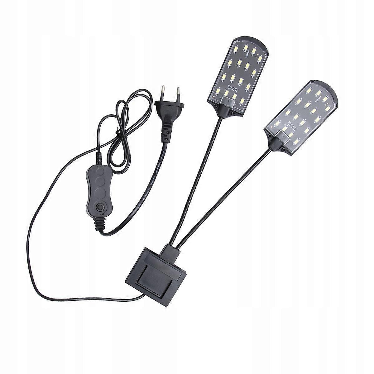 Lampe Pour Un Aquarium Avec Des Plantes Aquatiques