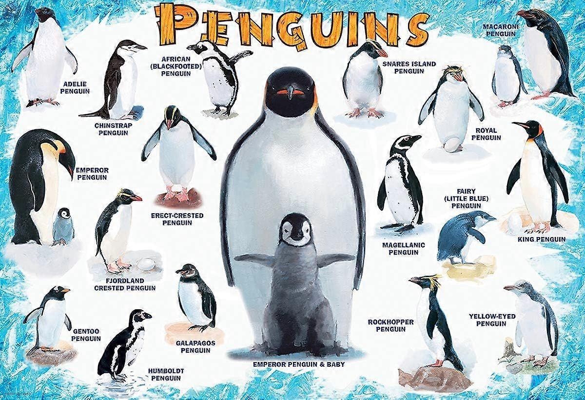 pingviner 1000 bitars pussel