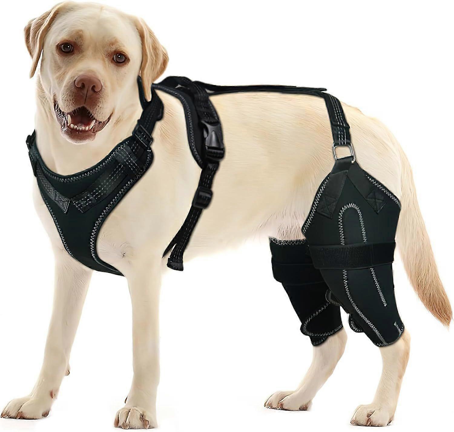 Dog Knee Brace for Torn ACL/CCL Hind Leg, Adjustable Support with Sufficient Wrapping and Support & Luxating Patella, Non-Slip Joint Brace,Pain Relief