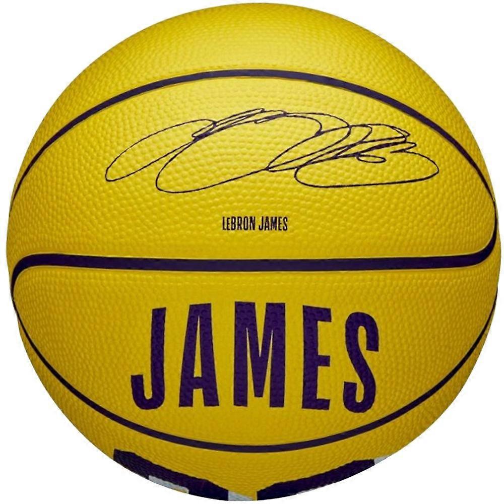 Ball Wilson Lebron James nba player icon WZ4027701XB
