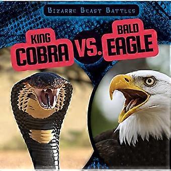 King Cobra Vs. Bald Eagle