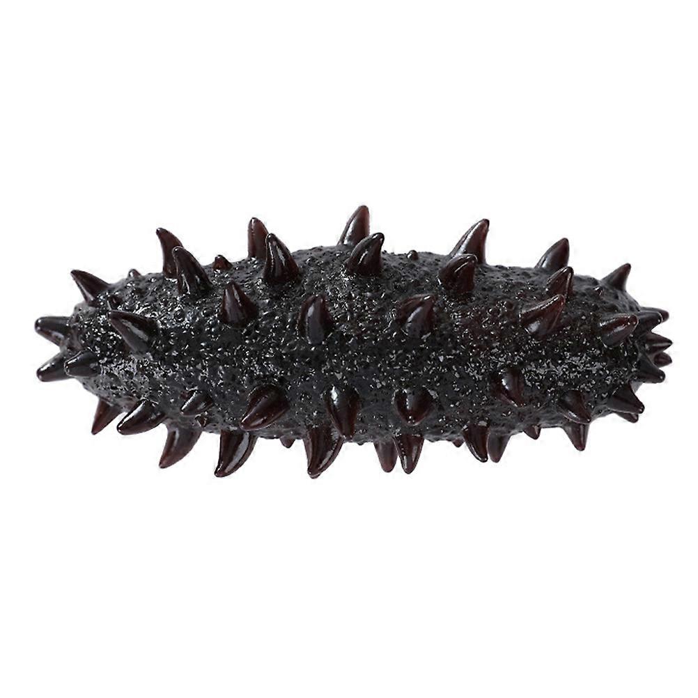 Simulation Sea Cucumber Model for Display in PVC Material