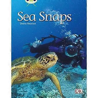 Sea Snaps (Grün A) NF