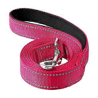 Stevige hondenriem voor grote en middelgrote honden, reflecterende nylon hondenriem met zacht gevoerd handvat voor wandelen en training, editie 0428