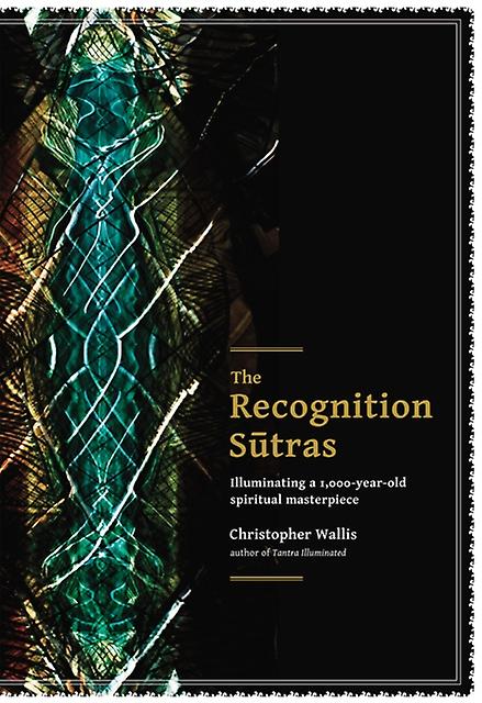 The Recognition Sutras by Christopher D Wallis Paperback