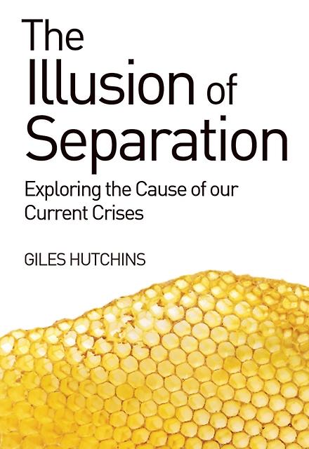 The Illusion Of Separation by Giles Hutchins Paperback