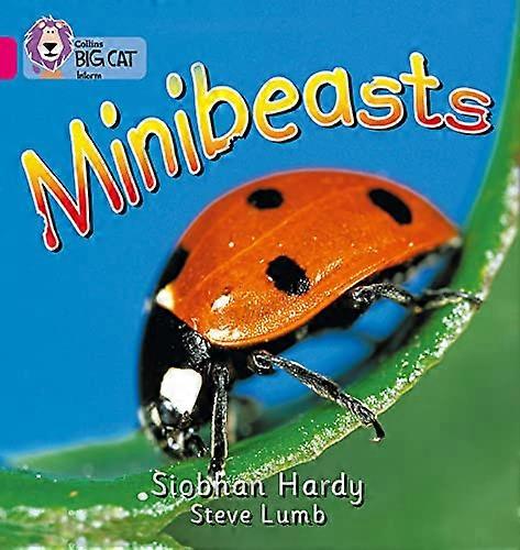 Minibeasts: Band 01A/Pink A (Collins Big Cat)