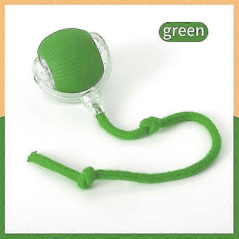 Cat & Dog Interactive Electric Toy: Automatic Rolling Ball with Faux Tail, Rechargeable, Imitate Mouse for Training