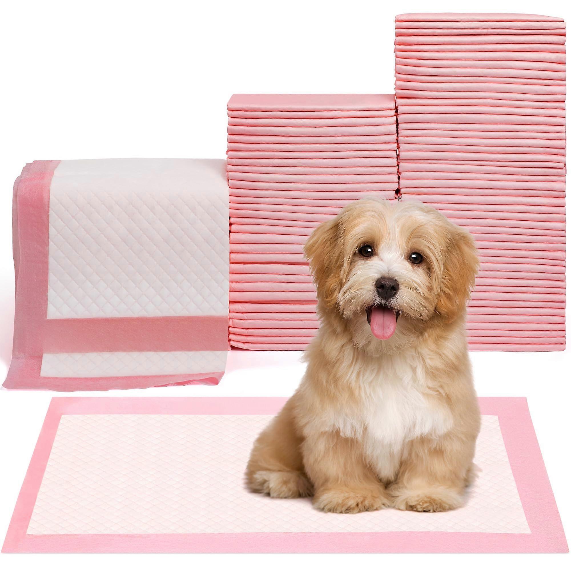 Pet Toilet Training Pads 100Count Disposable Puppy Pee Pads 18' x 13' for Dogs