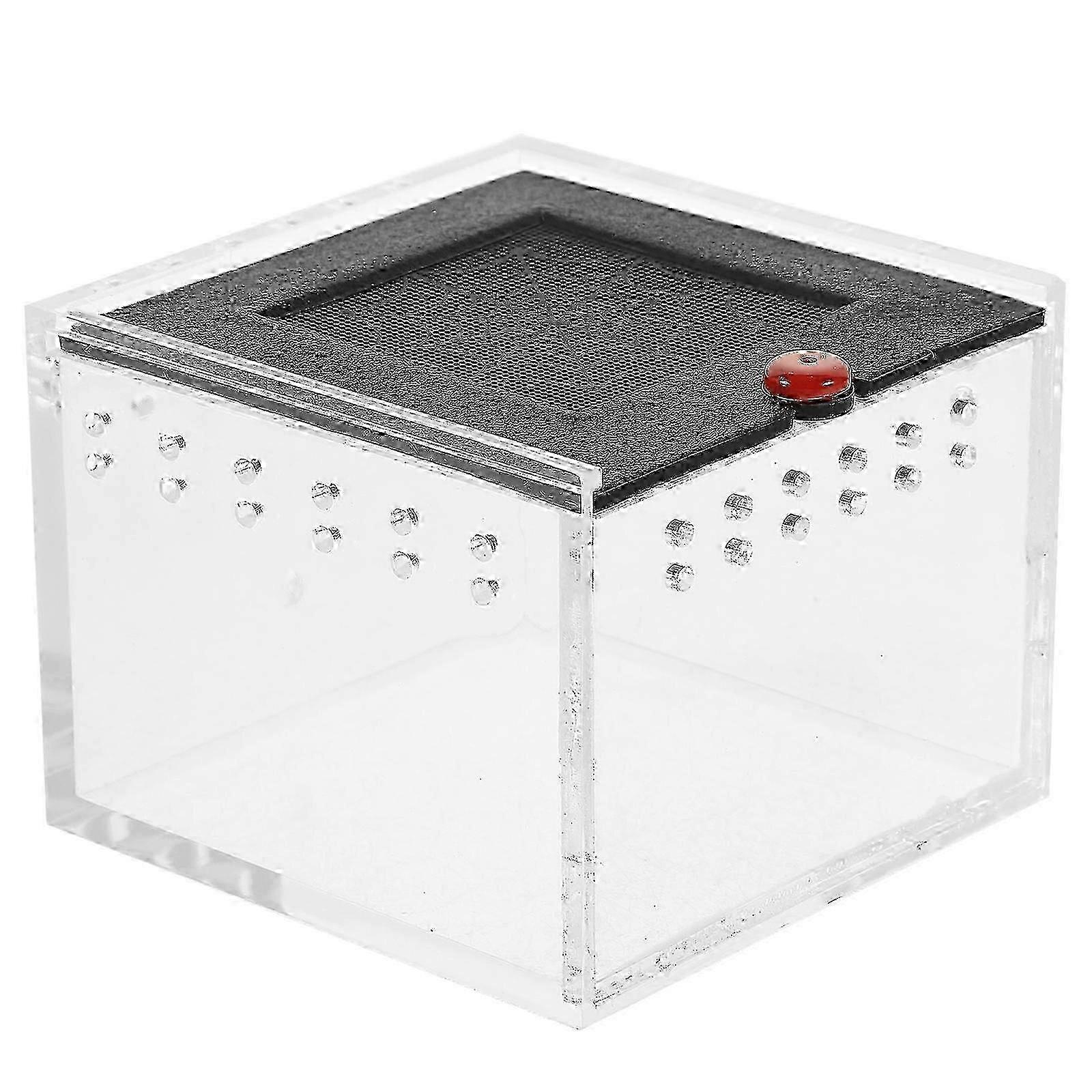 Clear Viewing Spider Enclosure Spiders and Small Insects Terrarium with Acrylic Panel