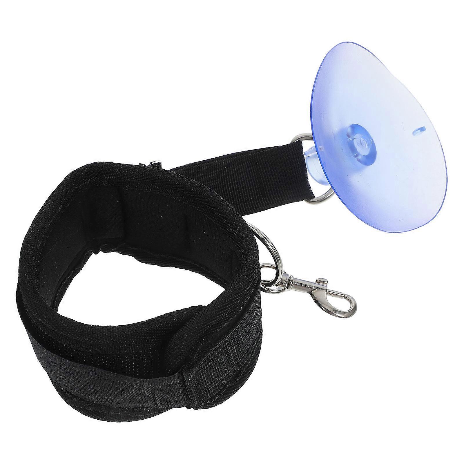 Pet Grooming Suction Cup Holder for Dog Bath Leash Adjustable