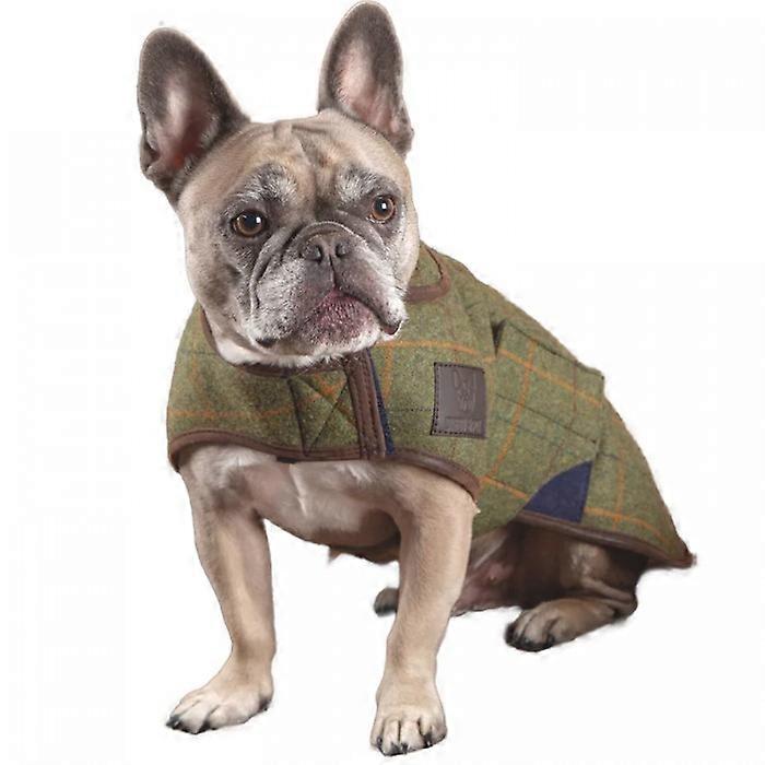 Digby & Fox Tweed Dog Coat