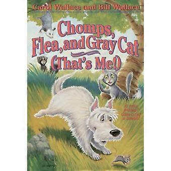 Chomps, loppa och grå katt