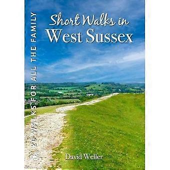 Korte turer i West Sussex: 20 sirkulære turer for hele familien (korte turer for hele familien)