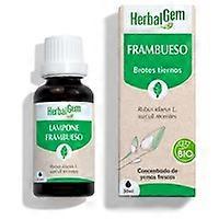 Raspberry bio drops 30 ml