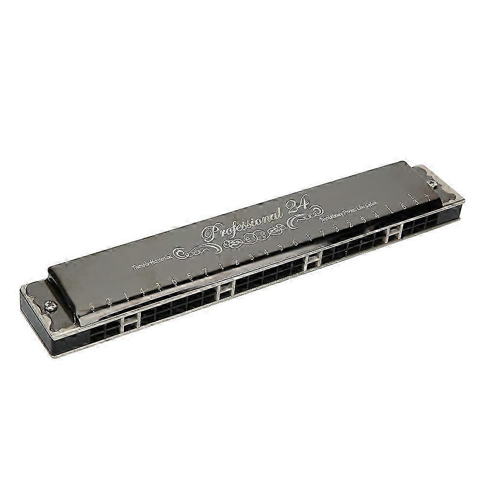 24-Hole G Key Polyphonic Harmonica