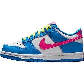Tênis Nike Dunk de couro cano baixo para skate, azul e branco, unissex IB7747-406