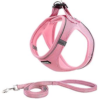 Breathable Reflective Dog Harness with Leash, Step-in Harness for Dogs Cats, Soft Mesh Comfort Padded Vest for Small Dogs for Walking, Running, Traini