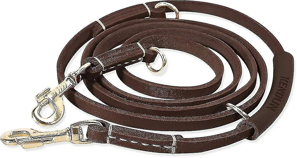 Leather For  Large Dog [multifunctional] [hands Free] [shock-absorbing] 7.5ft Gift