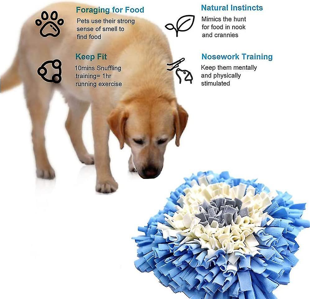 Sniffing Carpet Dog Smelling Exercise Sniffing Blanket Feeding Mat Training Mat