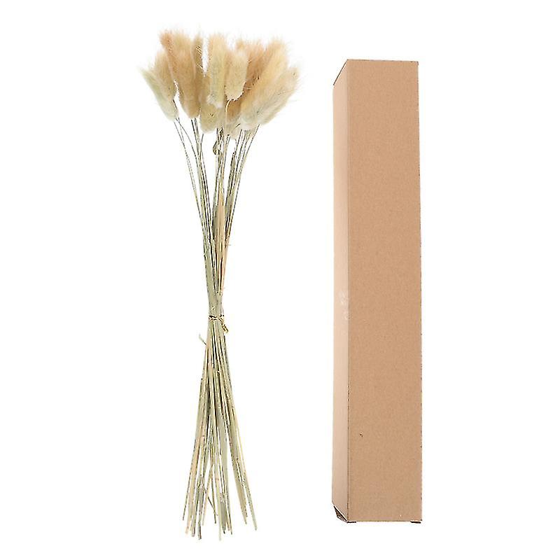 30pcs Décor d’herbe à queue de lapin séchée