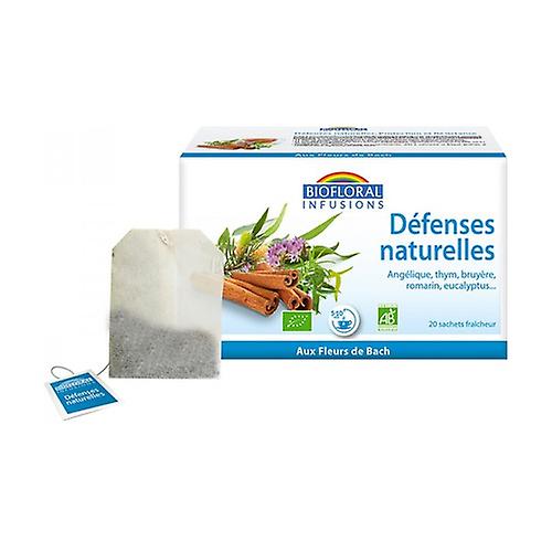 Natural Defenses Elixir Infusion 20 infusion bags
