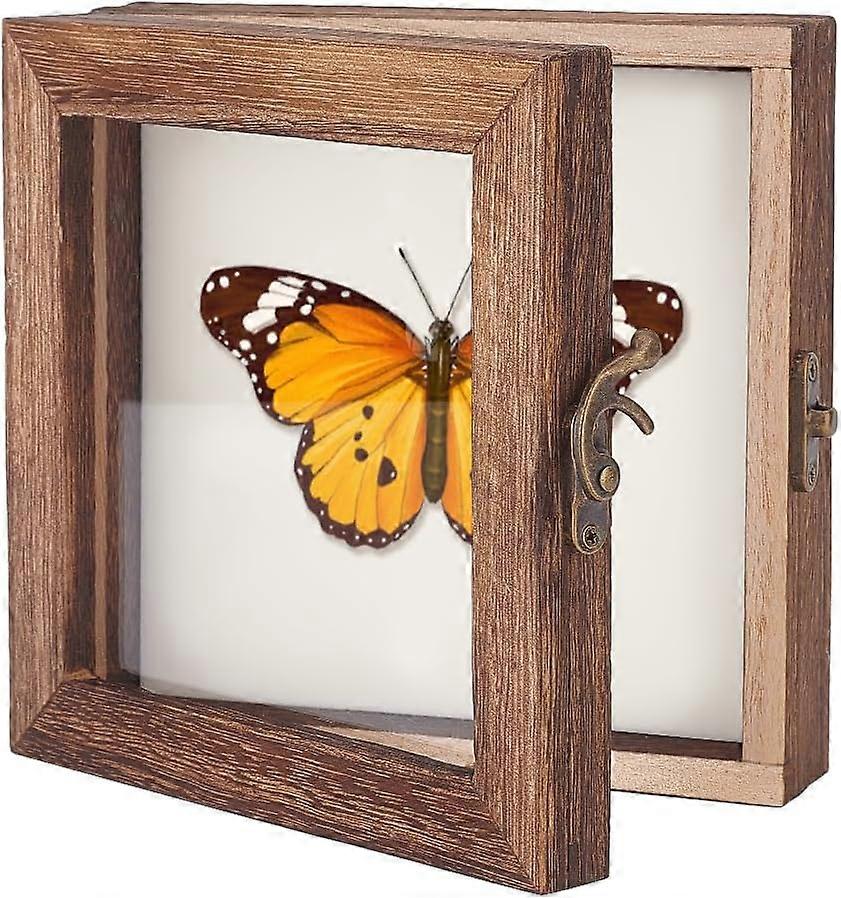 Insect Display Case Shadow Box for Insect Display with Clear Top Insect Specimen Storage Box Wood Insect Storage Case for Collecting Specimen 6 x 6 In