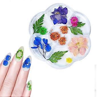 1 caja de flores secas decoración de uñas arte de uñas de bricolaje flores falsas para mujeres manicura decoraciones de uñas de bricolaje