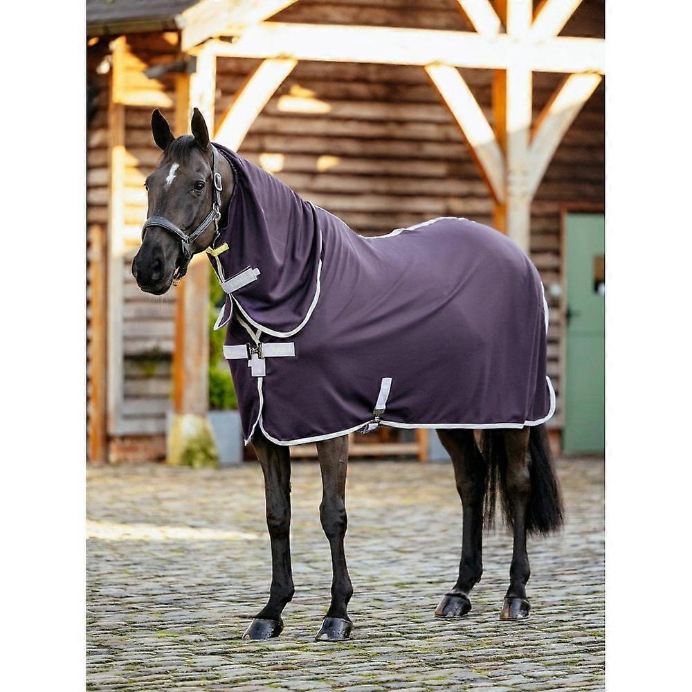 LeMieux Lemieux Arika Dryease Rug - Juniper