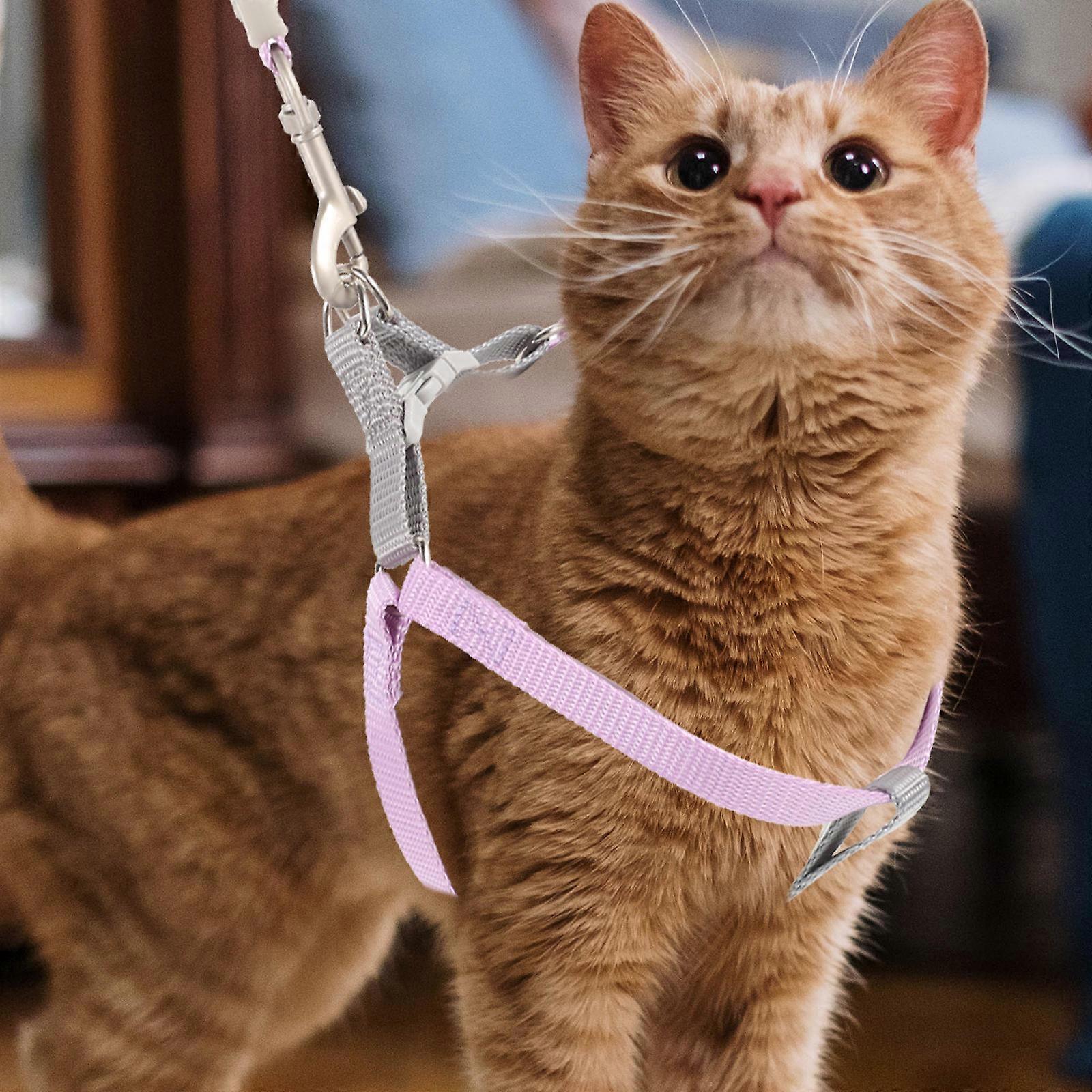 Cat Harness and Leash for Walking 1Set Small Kitten Outdoor Leash and Harness