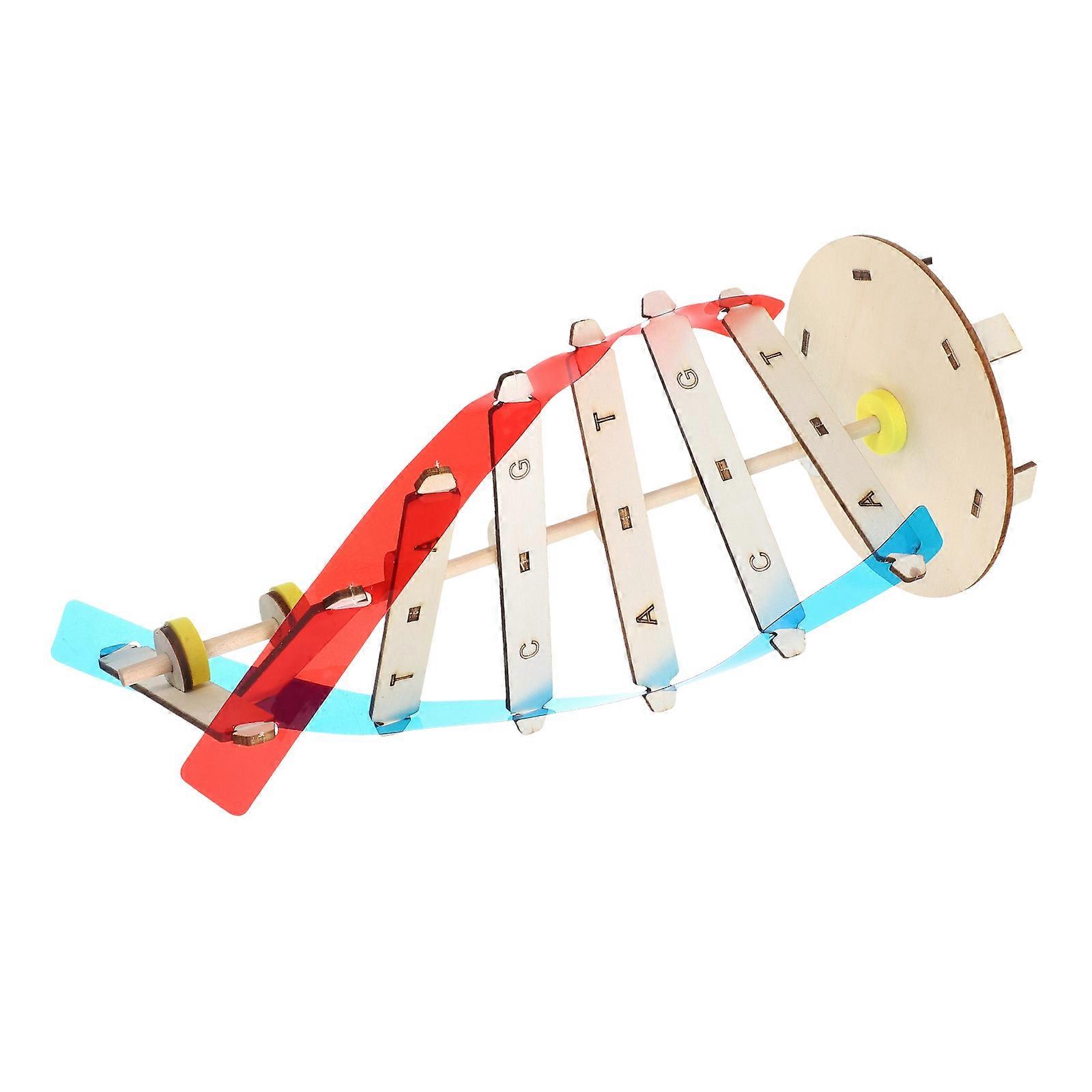 Educational Dna Model Double Helix Toy for Teaching 1Set Kids Learning Kit