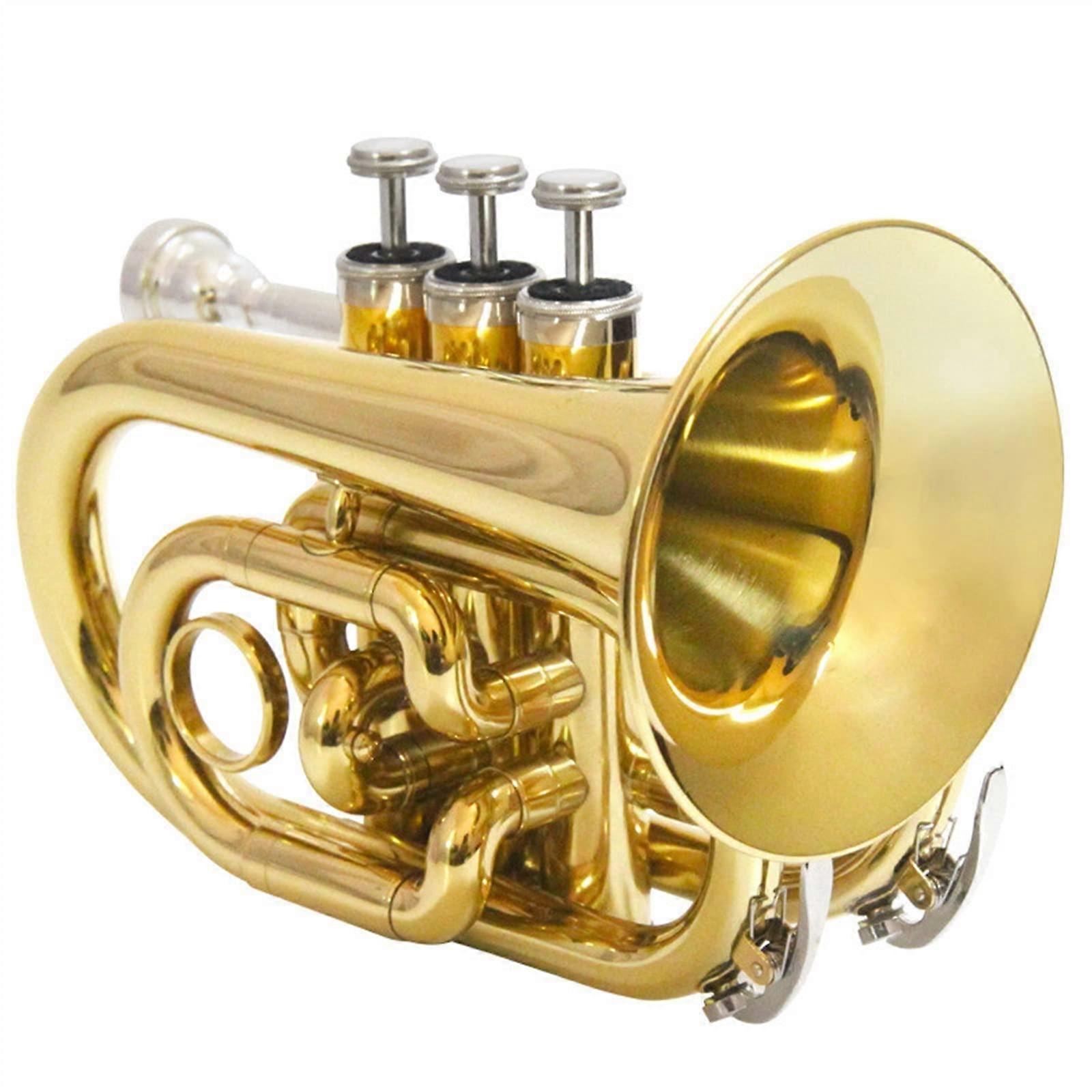 Bb Pocket Trumpet for Beginners Compact BFlat Cornet BeginnerFriendly Student Practice