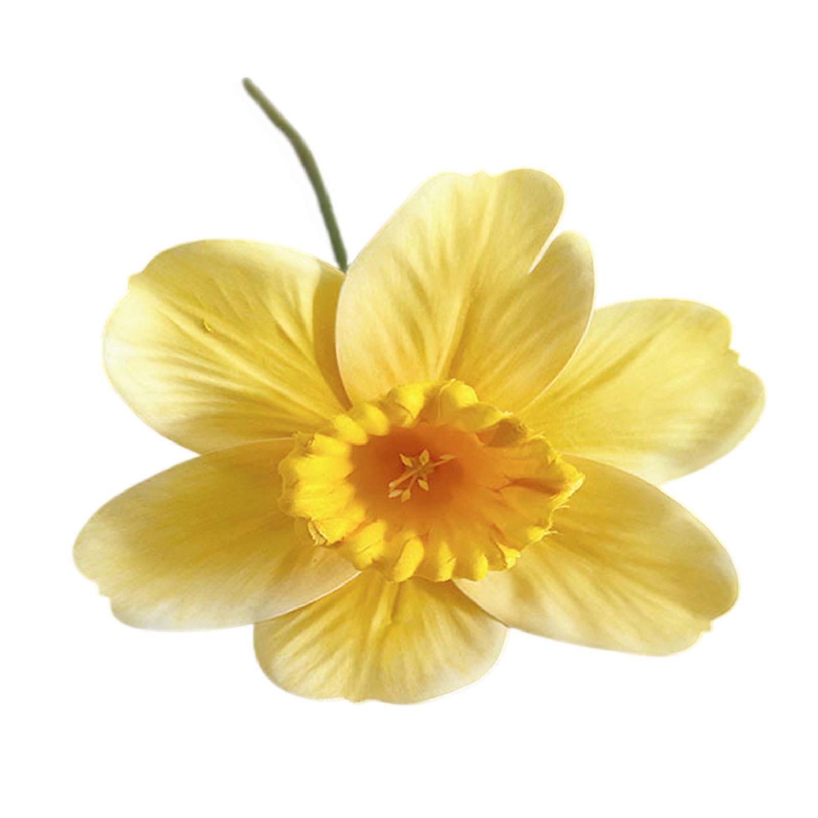 Artificial Daffodil Flowers 15 Inch for Daily Use Practical Design for