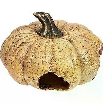 Decorazioni autunnali a forma di zucca, terrario per rettili in resina resistente all'usura, accessori per terrario.