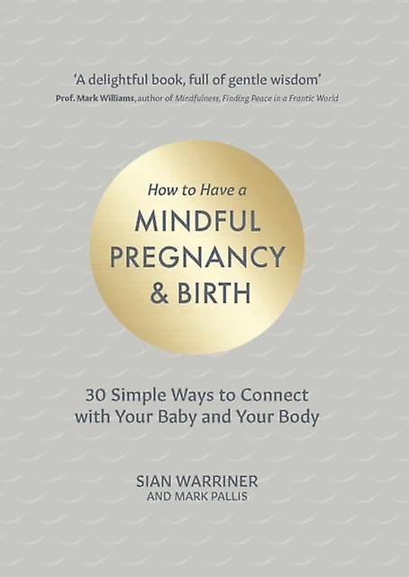 How To Have A Mindful Pregnancy And Birth by Mark Pallis Paperback Book