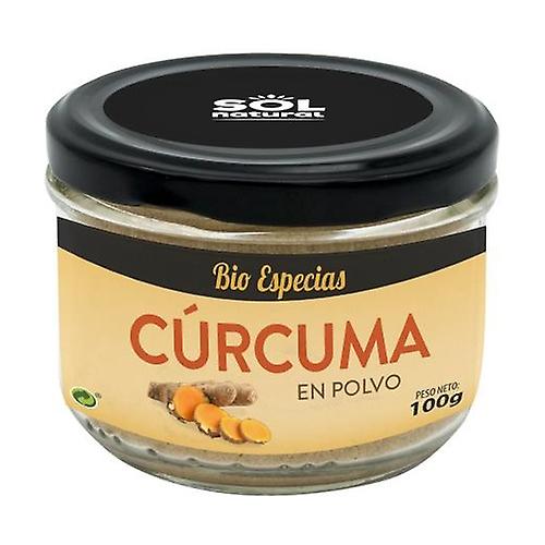 Turmeric Powder Bio 100 g