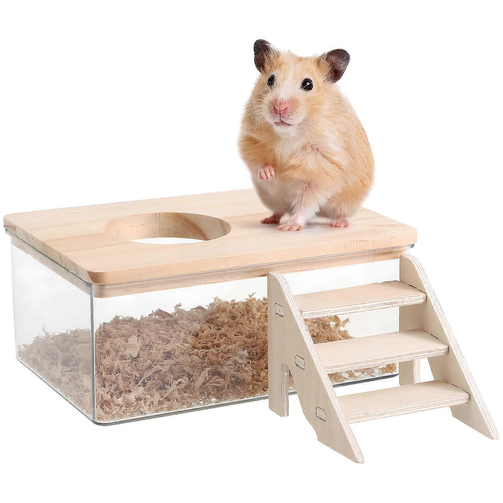 Transparent Hamster Sand Bath Container with Ladder – Small Pet Litter Box for Mice, Gerbils, and Chinchillas – Encourages Natural Behavior, Easy
