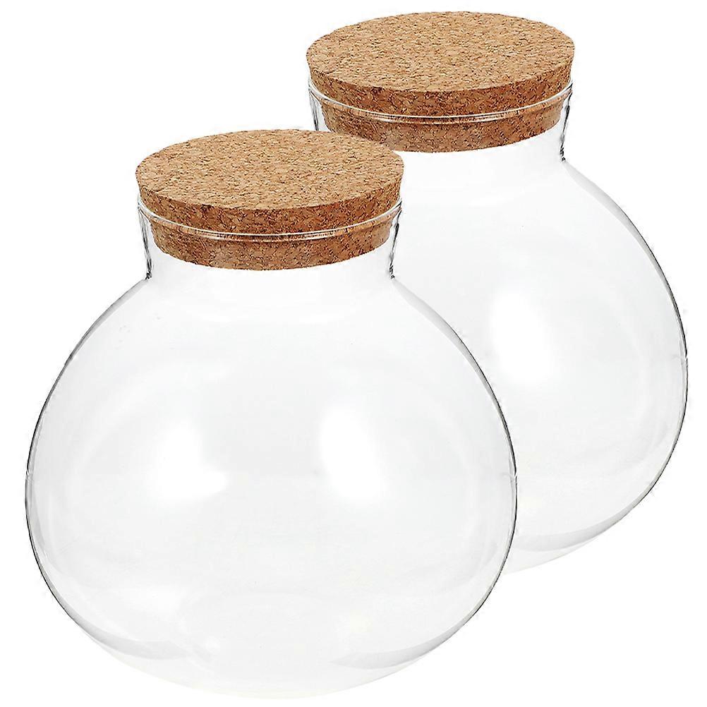 Spherical Glass Terrarium Bottle for Storage Use 8Pcs Pack