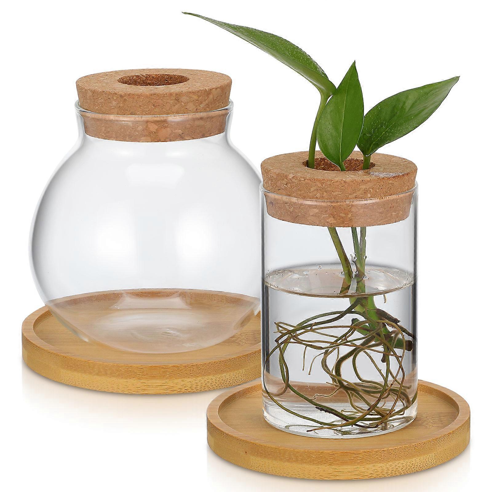 Original Vase for Hydroponic Plant Growth 2Pcs Set