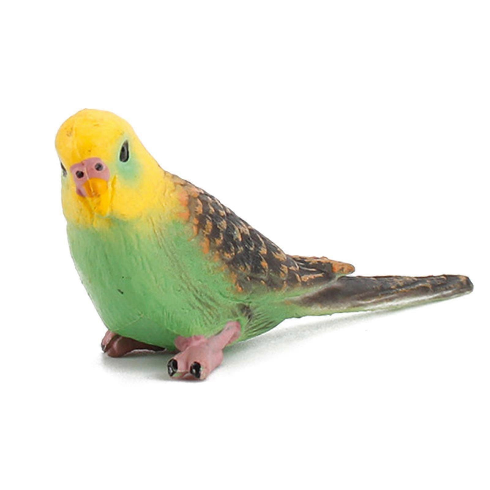 Clear Texture Pvc Wild Parrot Animals Model Figures Educational Toy For Playing