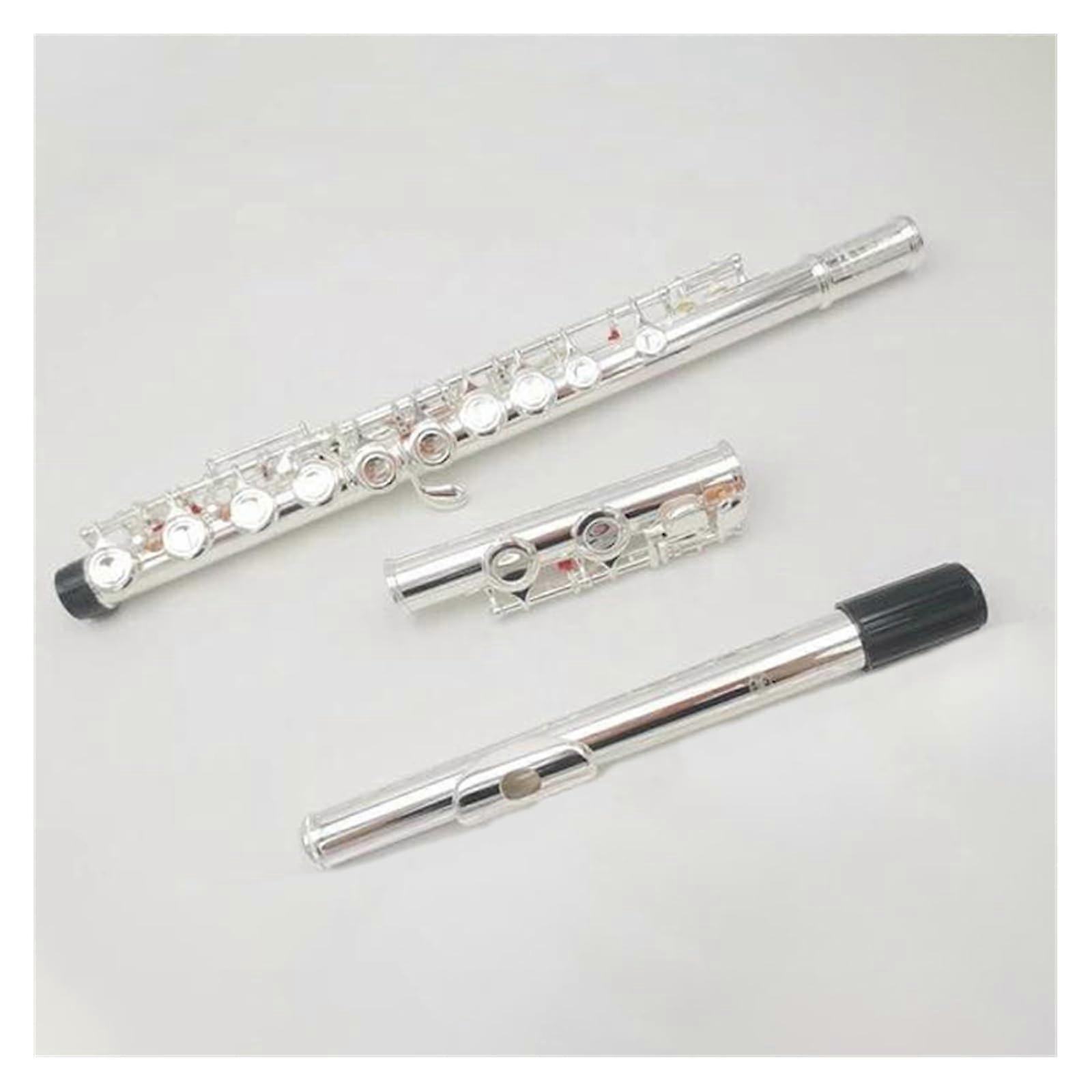 Silver Plated C Flute 16 Hole Cupronickel with Case for Beginners and Students
