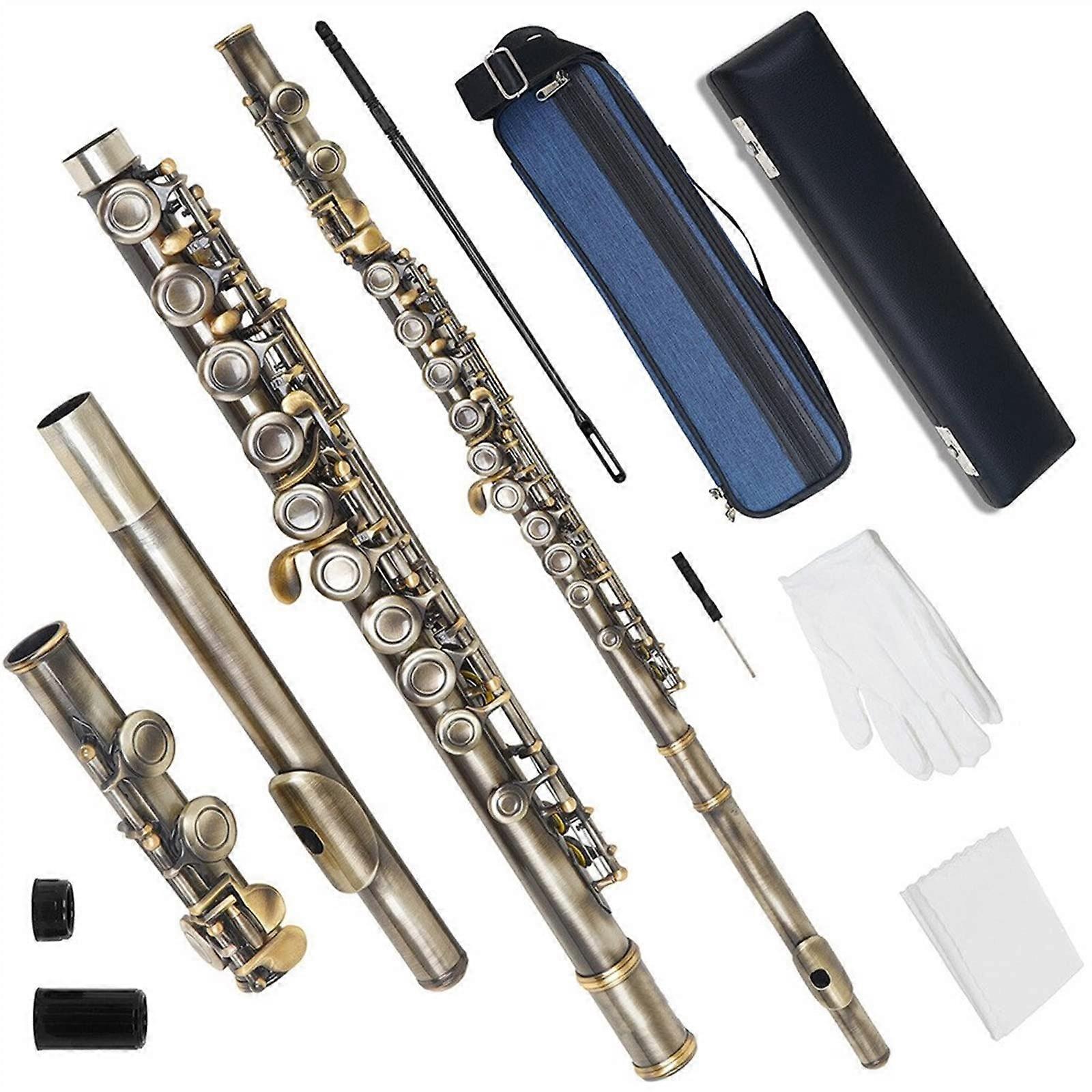 Cyan 16 Hole C Key Flute Starter Kit with Case Backpack and Cleaning Accessories for Beginners