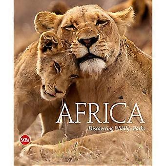 Afrika: Wildtierparks entdecken