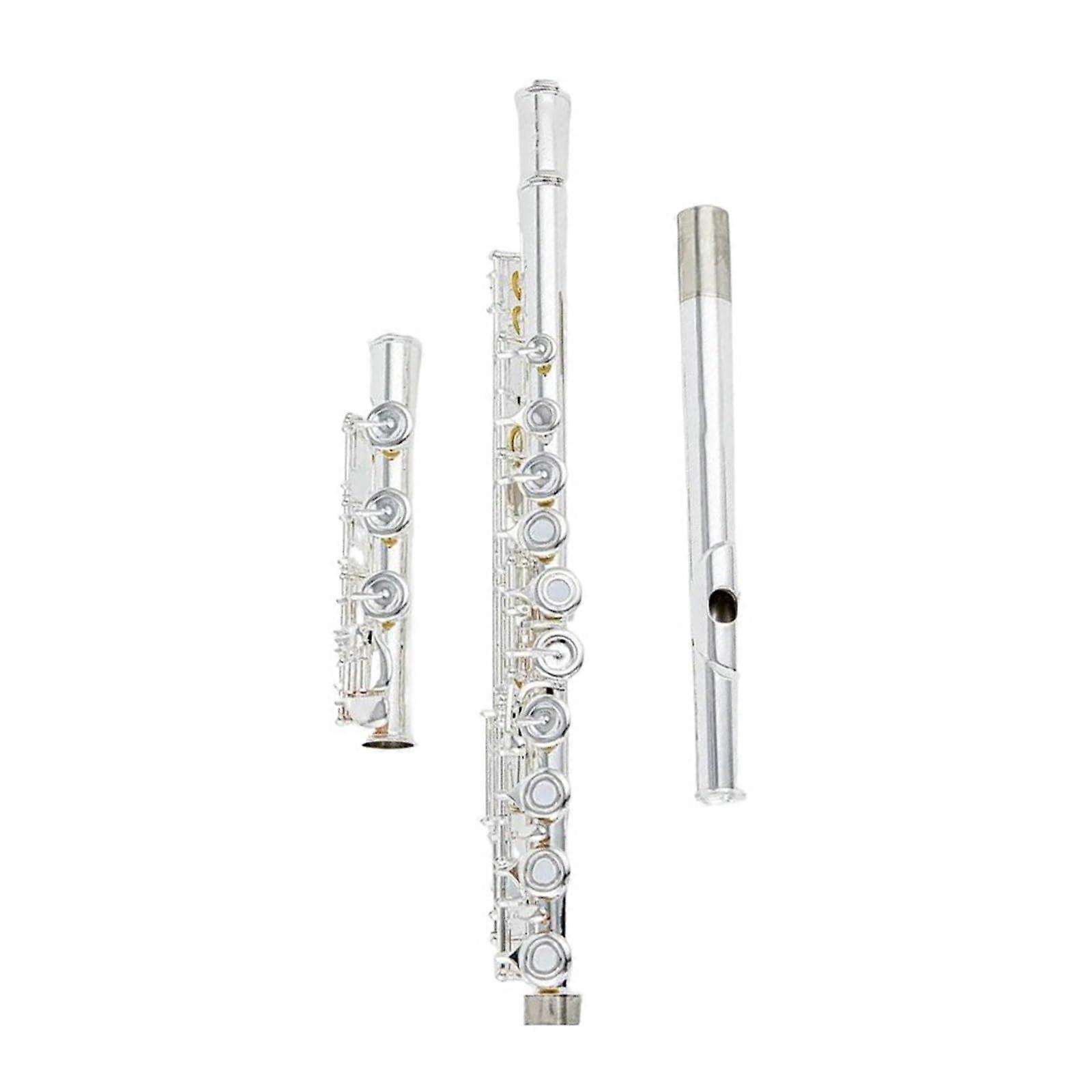 Professional Silver Flute C 17 Hole E Key with Case, Warm Tone for Beginner and Student Practice