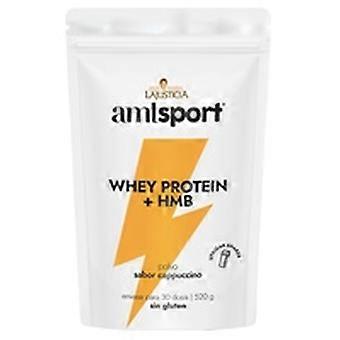 Amlsport® whey protein + hmb 520 g