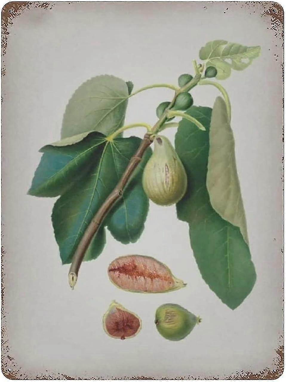 Placa de Metal Vintage Hyacinth Vintage Tin Poster Metal Sign 8x12 Polegadas OU 12x16 Polegadas Modo 1556