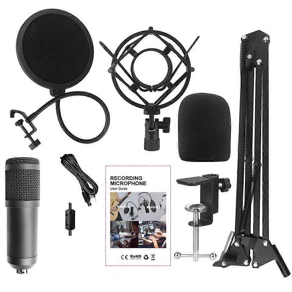 Studio Microphone Kits Condenser Microphone Bundle Stand Karaoke Mic Filter Phantom 192KHZ/24BIT