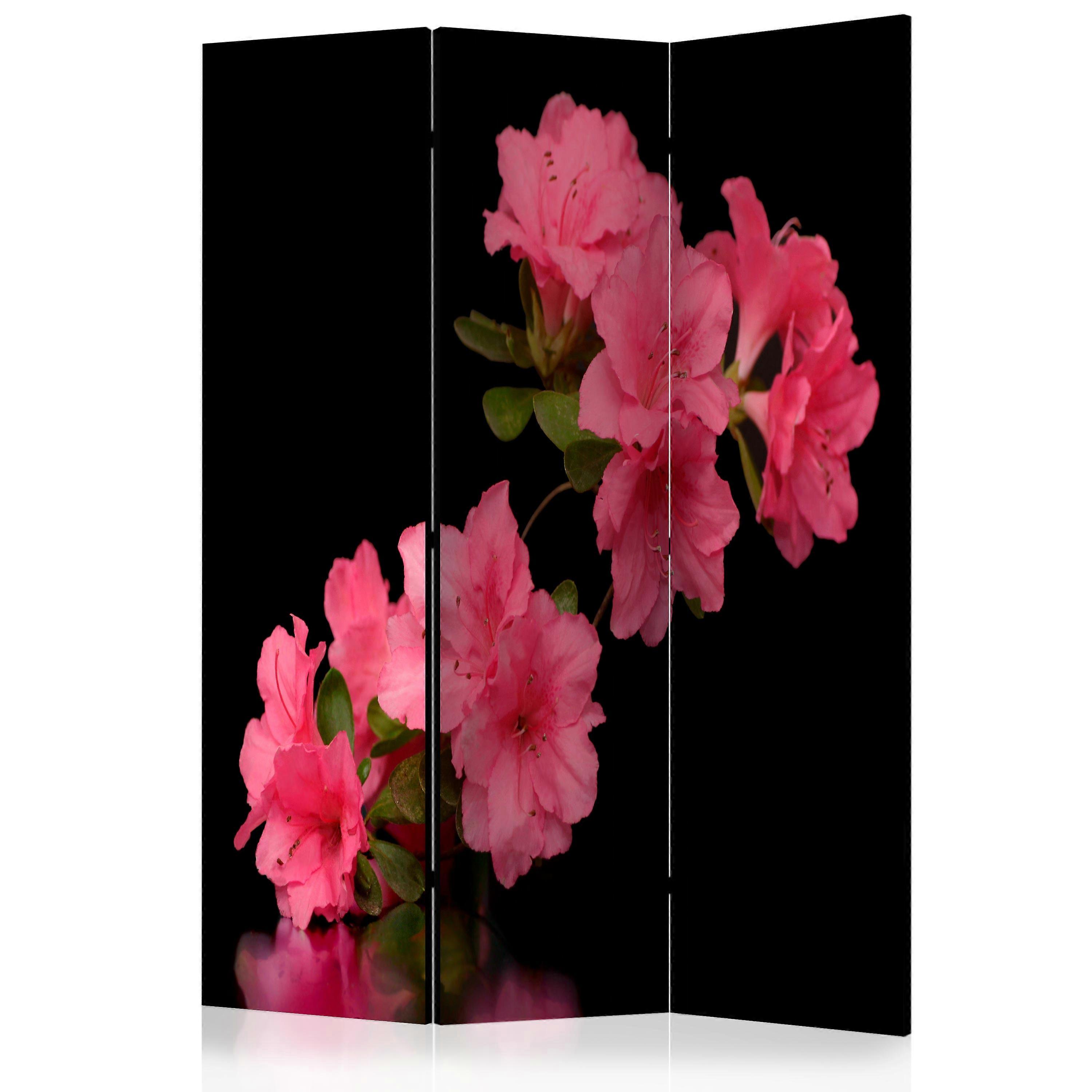Room Divider - Azalea in Black