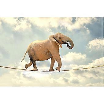 Puzzles for Adults Elephant on a Rope Wooden Puzzles-Puzzle Hands-on Game-Family Decoration (F5,)