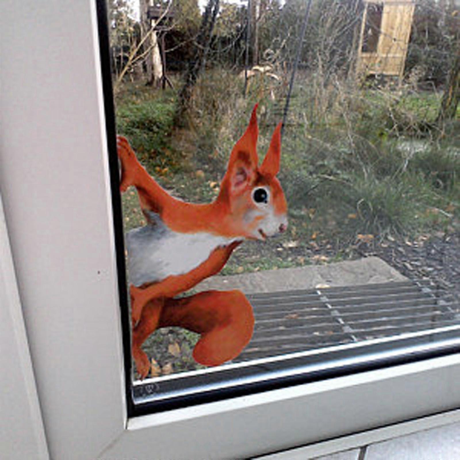 1/3/5PCS Peeping Squirrel Wall Decal, Stickers For Walls And Windows